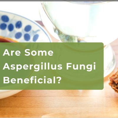 Learn about beneficial fungi used in food and beverage production.